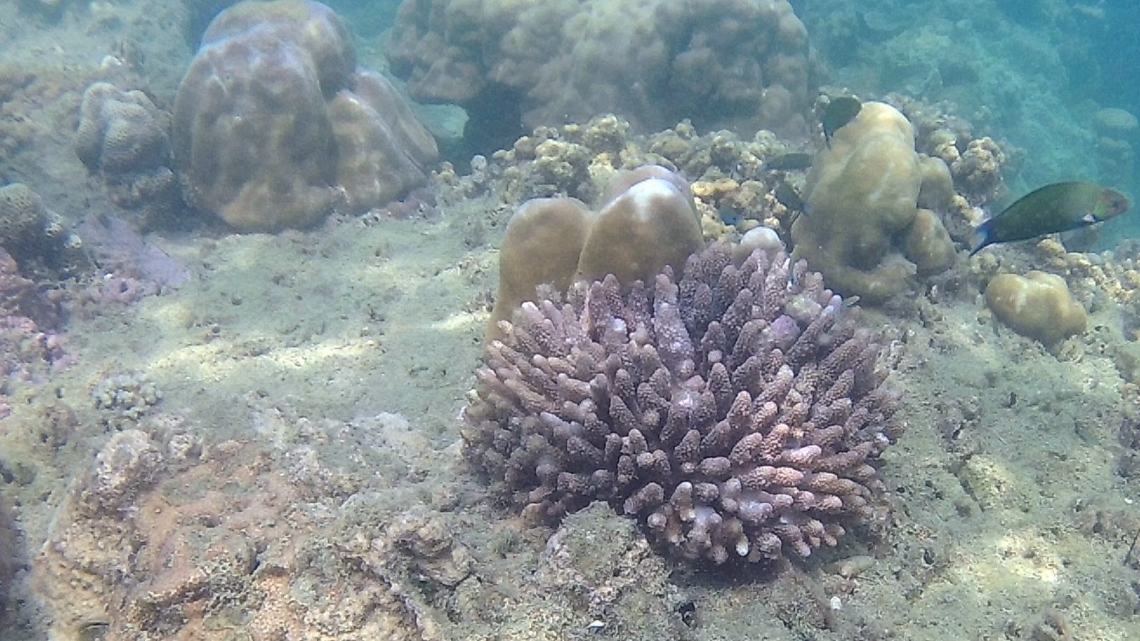 【blog】このブログについて